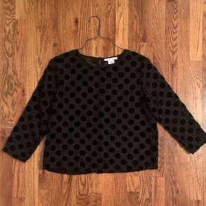 Sheer black blouse with velvet detailing